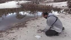 VOICED : Beaches from illegal mining scar Colombias Amazon News Clip