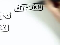 Concept of love - diagram Stock Footage