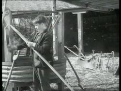 Farm boy cleans trencher with hay, England, UK 1940 Stock Footage