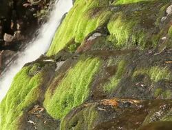 Tight shot of waterfall in the Uinta National Forest. Stock Footage