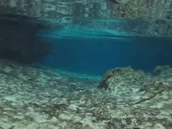 Three Sisters Spring Crystal River, Florida, North Atlantic Ocean  Stock Footage