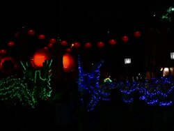 Chinese dragon Stock Footage