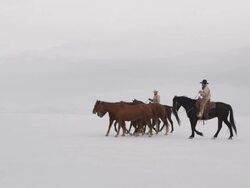 Horses walking with cowboys riding across salt flats. Stock Footage