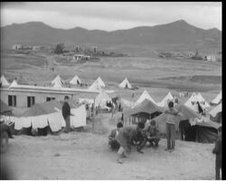 CYPRUS - 'BRUSH FIRE' STILL BURNS News Clip