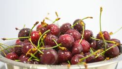 red cherries in bowl, close up Stock Footage
