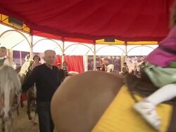 kids ride horses Stock Footage