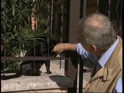 Walking the dog to be made compulsory under new law News Clip