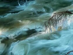 HD Winter River with Icy Branch (Loopable) Stock Footage