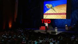 Bill Gates: Mosquitos, malaria and education Instructional Video