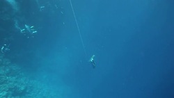 Freediver diving to 50 meters Stock Footage