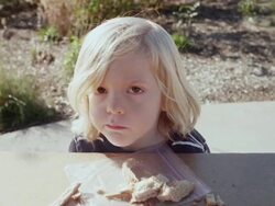 CU Shot of little boy enjoying his healthy peanut butter and jelly sandwich outside on sunny day / Beaverton, Oregon, United States Stock Footage