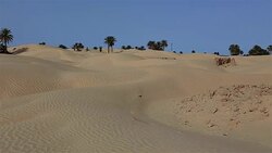 Ruins of Zaafrane a village swallowed up by the sands Stock Footage