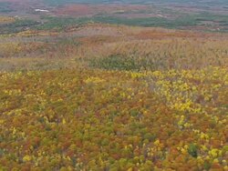 WS ARIEAL View of Wooded area with autumn color at islands / Maine, United States Stock Footage