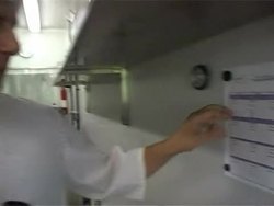 VOICED: Caviar sorbet on the menu as ice cream grows up News Clip