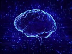 Spinning brain with circuit board background. Loopable. Blue-B&W. Stock Footage