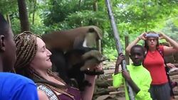 CLEAN : Ghanaian villagers profit from monkey business News Clip