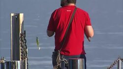 Lake Geneva and Lausanne Stockshots News Clip