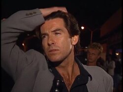 Save the Dolphins Event Stock Footage