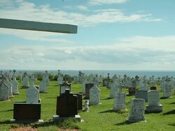 View of a cemetery  Stock Footage