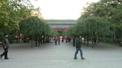 CLEAN : Twos a crowd for many Chinese after policy change News Clip