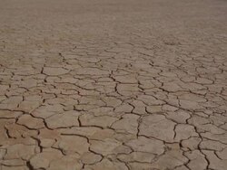  WS Cracks on arid desert ground / Mojave, California, USA Stock Footage