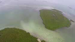 Florida Everglades Aerials, South Florida Swampland, Key Largo Stock Footage