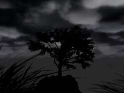 Alone Tree and lightning Stock Footage