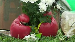 Muhammad Ali's Childhood Home & Floral Tributes - Reactions Around the World to Muhammad Ali's death News Clip