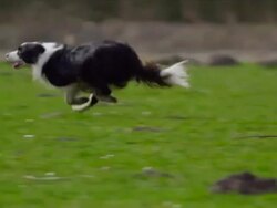 Run! slow motion (1080p) Stock Footage