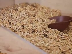 Customer purchases walnuts in grocery Stock Footage