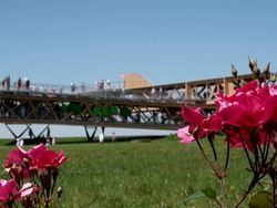 WS People watching field of rose from viewpoint / Koblenz, Rhineland-Palatinate, Germany Stock Footage