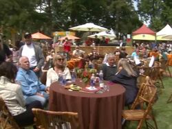 ATMOSPHERE at the Elizabeth Glaser Pediatric AIDS Foundation's 22nd Annual 'A Time For Heroes' Celebrity Carnival at Los Angeles CA. (Footage by WireImage Video/Getty Images Entertainment Video) Stock Footage