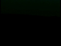 T/L Dark to sunrise over field of sunflowers, flower heads facing camera Stock Footage