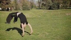 young man jumping somersaults Stock Footage