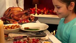 Thanksgiving Turkey Dinner Stock Footage