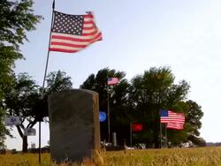 Patriot Flag Stock Footage