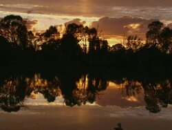 WS Murray river sunsetting / Murray River, Mildura, Victoria, Australia Stock Footage