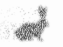 HARE : modern halftone style (TRANSITION) Stock Footage
