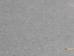 Raindrop Stock Footage