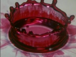 High Speed CU red drop of liquid splashing into white liquid, where previous drop has already fallen, high angle Stock Footage