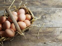 MS PAN Shot of rustic basket with eggs and straw / London, United Kingdom  Stock Footage