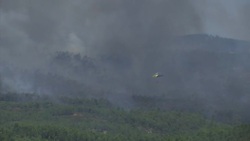Firefighters continue to battle wildfires in Portugal Instructional Video