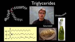 Lipids Instructional Video