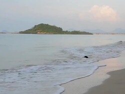 Tropical beach Stock Footage