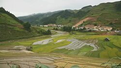 terraced rice field in Tule Village Stock Footage