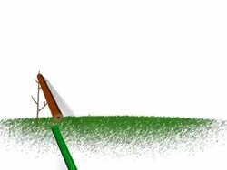 Kid's drawing of growing tree Stock Footage