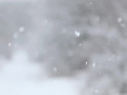 Winter background Stock Footage