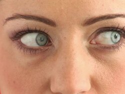 HD: Mean Look Stock Footage