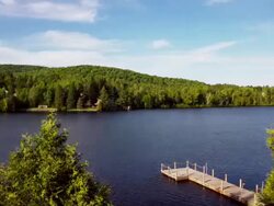 Summer lake landscape Stock Footage