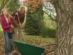 Raking Leaves Stock Footage
